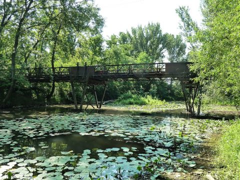 lokalita Sereďská poronda, starý železný most, lužný les so starým ramenom pri rieke Váh, By SanoAK: Alexander Kürthy [CC BY-SA 4.0 (https://creativecommons.org/licenses/by-sa/4.0)], from Wikimedia Commons