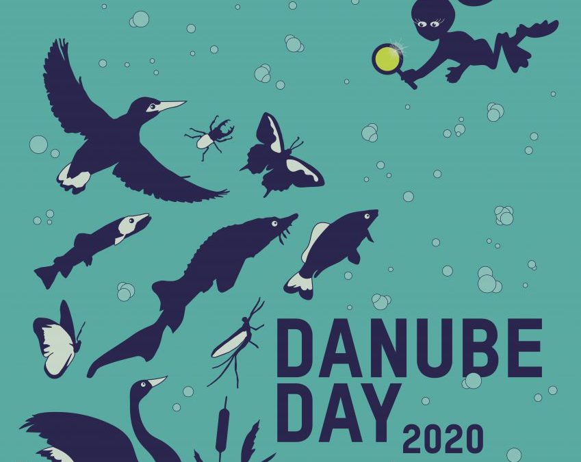 Danube Day 2020 poster